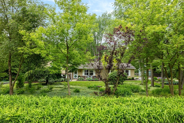9177 Horseshoe Bnd, Dexter, MI 48130 - view of yard