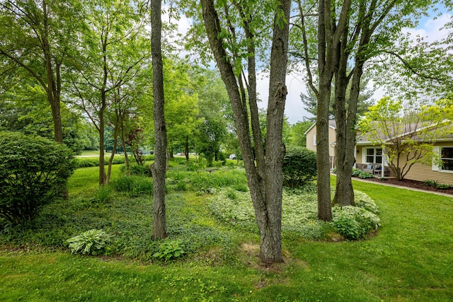 9177 Horseshoe Bnd, Dexter, MI 48130 - view of green lawn