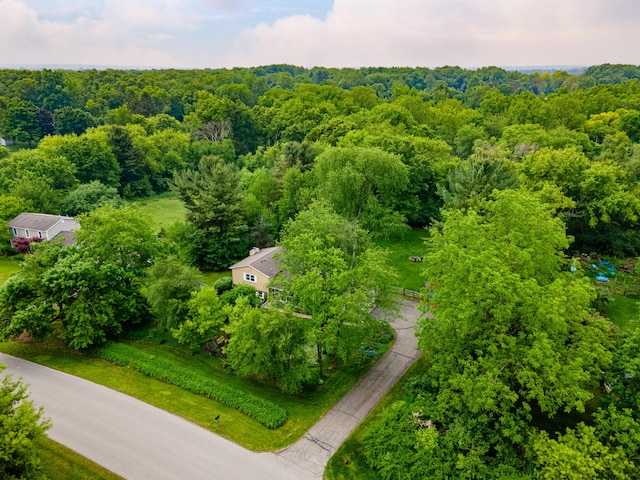 9177 Horseshoe Bnd, Dexter, MI 48130 - aerial view of a heavily wooded area