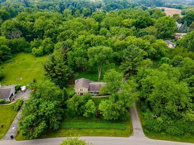 9177 Horseshoe Bnd, Dexter, MI 48130 - drone / aerial view