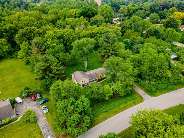 9177 Horseshoe Bnd, Dexter, MI 48130 - aerial view