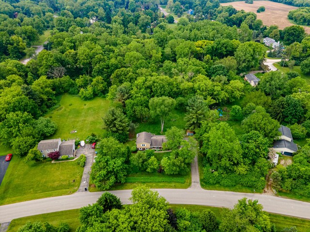 9177 Horseshoe Bnd, Dexter, MI 48130 - drone / aerial view