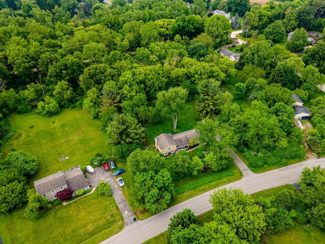 9177 Horseshoe Bnd, Dexter, MI 48130 - drone / aerial view