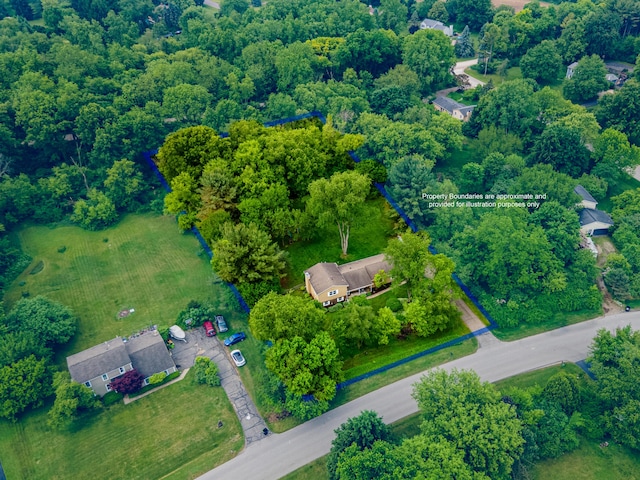 9177 Horseshoe Bnd, Dexter, MI 48130 - bird's eye view