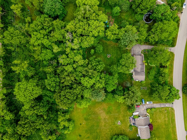 9177 Horseshoe Bnd, Dexter, MI 48130 - aerial view