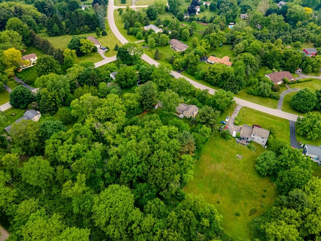 9177 Horseshoe Bnd, Dexter, MI 48130 - drone / aerial view