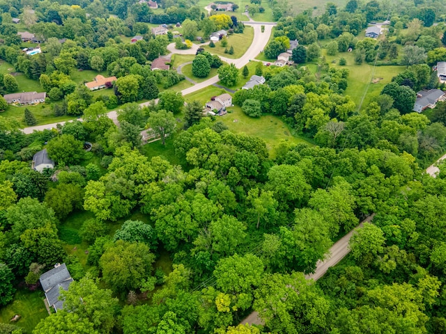 9177 Horseshoe Bnd, Dexter, MI 48130 - aerial view