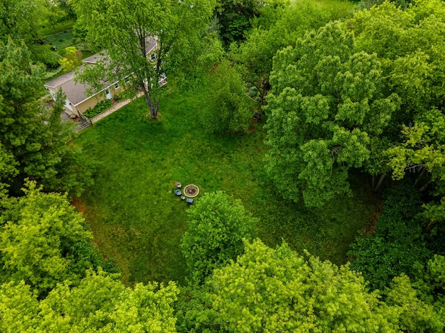 9177 Horseshoe Bnd, Dexter, MI 48130 - view of subject property