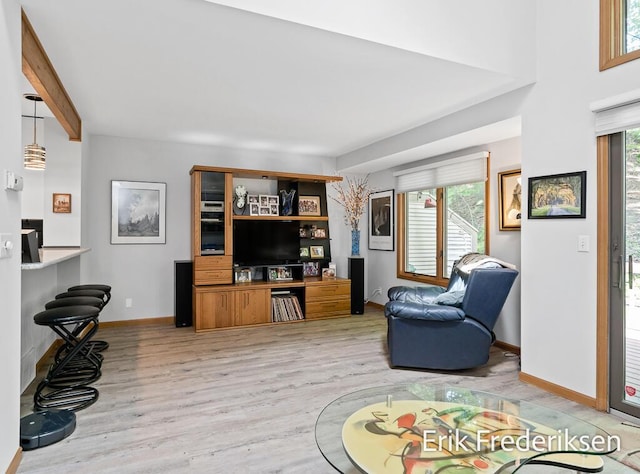 17879 Hidden Dunes Ln Unit D, Spring Lake, MI 49456 - living area featuring light wood-style flooring, plenty of natural light, and baseboards