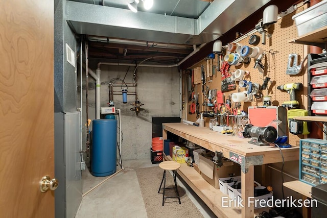 17879 Hidden Dunes Ln Unit D, Spring Lake, MI 49456 - unfinished basement featuring a workshop area and a water softener system