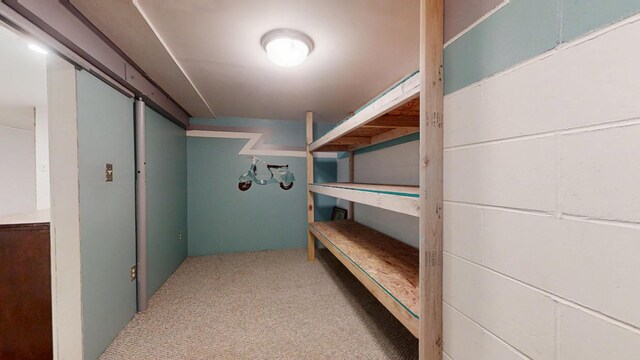 2999 Walton Rd, Buchanan, MI 49107 - photo 30