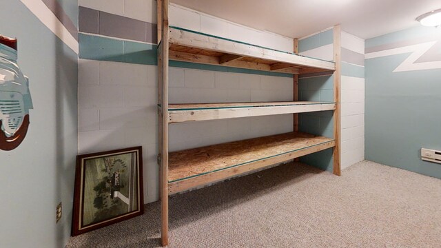 2999 Walton Rd, Buchanan, MI 49107 - photo 37