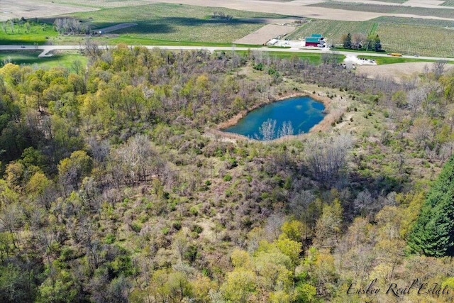 8249 M 139, Berrien Springs, MI 49103