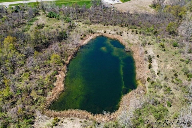 8249 M 139, Berrien Springs, MI 49103