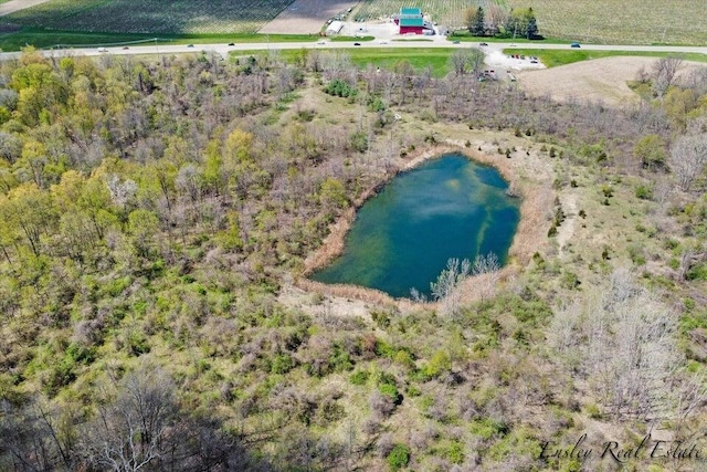 8249 M 139, Berrien Springs, MI 49103