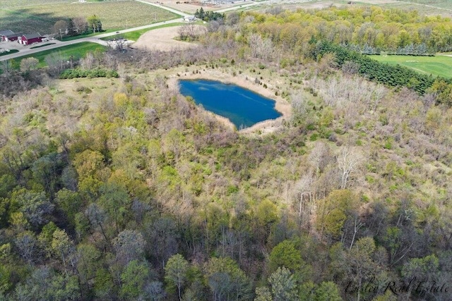 8249 M 139, Berrien Springs, MI 49103