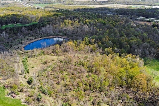 8249 M 139, Berrien Springs, MI 49103
