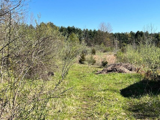 8249 M 139, Berrien Springs, MI 49103