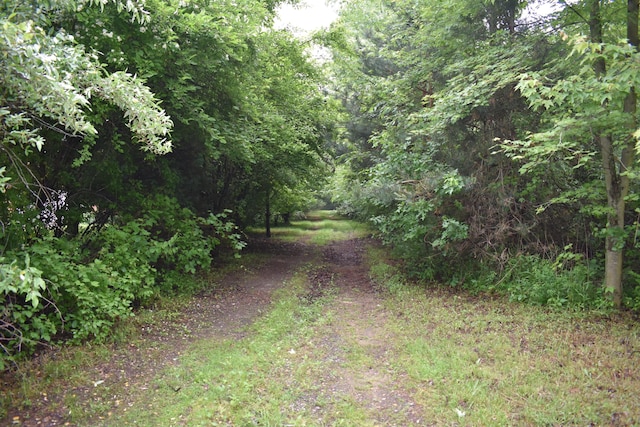 13151 Tuttle Hill Rd, Milan, MI 48160