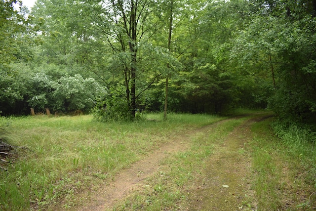 13151 Tuttle Hill Rd, Milan, MI 48160
