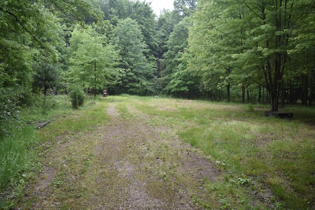 13151 Tuttle Hill Rd, Milan, MI 48160