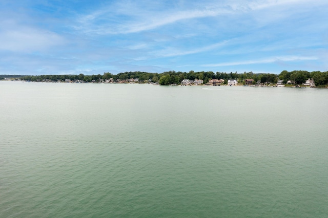 60757 Beechwood Ln, Cassopolis, MI 49031 - water view