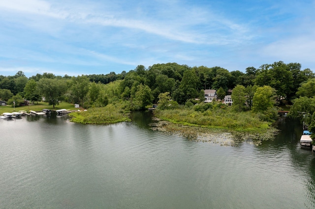 60757 Beechwood Ln, Cassopolis, MI 49031 - water view