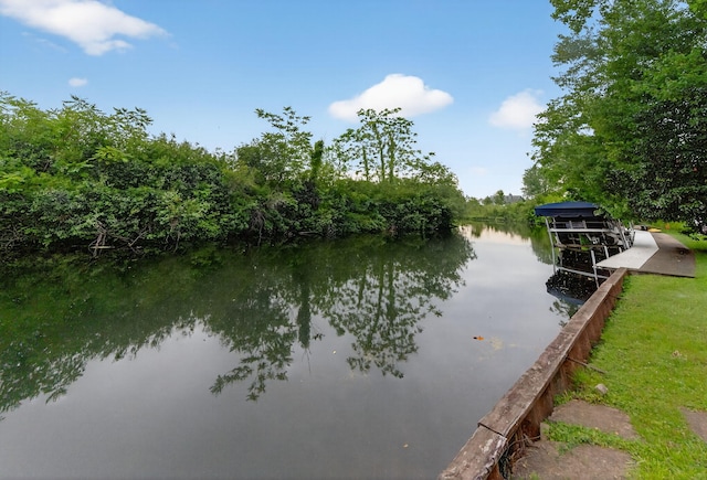 60757 Beechwood Ln, Cassopolis, MI 49031 - water view featuring a dock