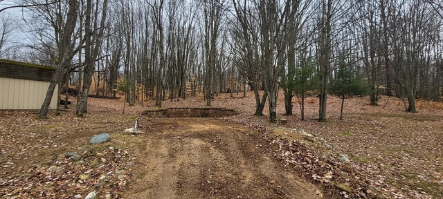 4551 Deer Cove Rd, Custer, MI 49405