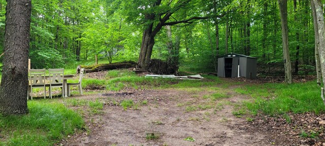 4551 Deer Cove Rd, Custer, MI 49405