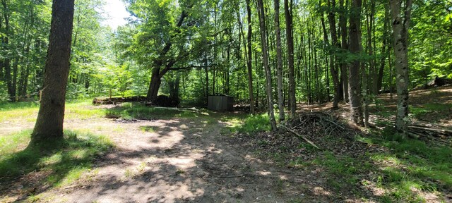 4551 Deer Cove Rd, Custer, MI 49405