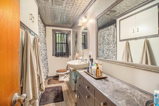 8424 3rd St, Onekama, MI 49675 - bathroom with an ornate ceiling, ornamental molding, wood finished floors, and vanity