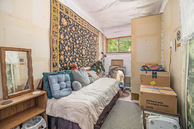 8424 3rd St, Onekama, MI 49675 - carpeted bedroom featuring radiator heating unit