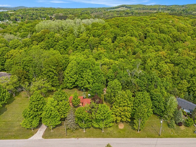 8424 3rd St, Onekama, MI 49675 - drone / aerial view of a forest