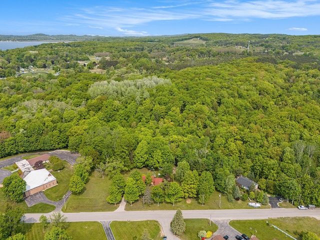 8424 3rd St, Onekama, MI 49675 - aerial view of property and surrounding area with a heavily wooded area and a large body of water