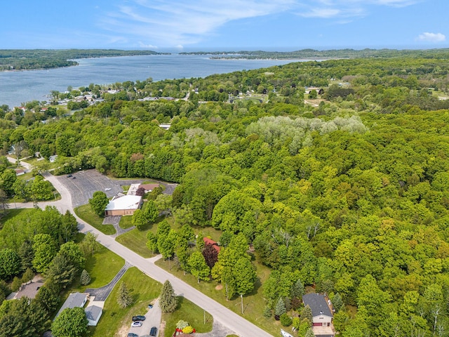 8424 3rd St, Onekama, MI 49675 - aerial overview of property's location featuring a forest and a nearby body of water