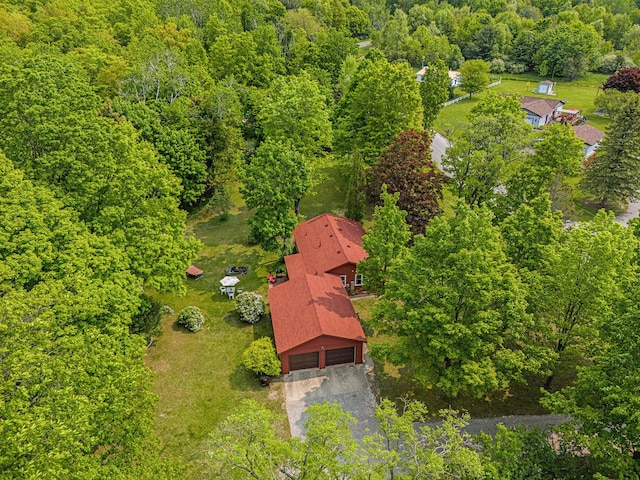 8424 3rd St, Onekama, MI 49675 - aerial view of a heavily wooded area