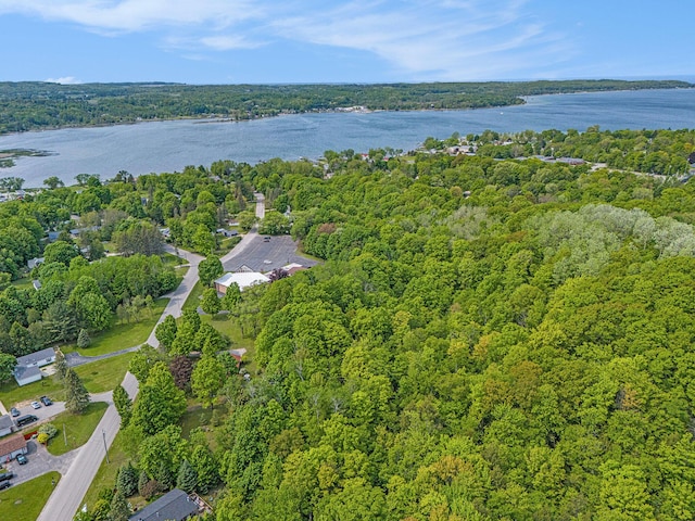 8424 3rd St, Onekama, MI 49675 - aerial view of property's location with a large body of water and a forest