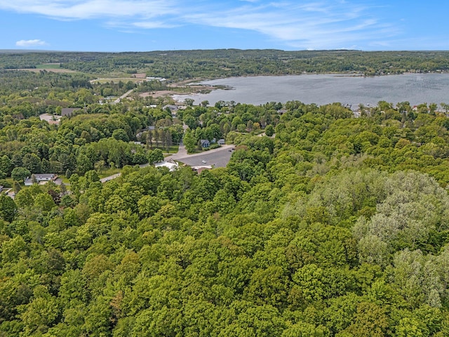 8424 3rd St, Onekama, MI 49675 - aerial overview of property's location featuring a forest and a nearby body of water