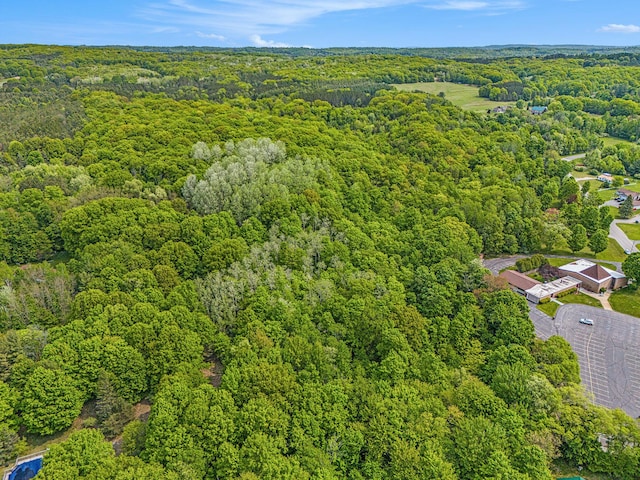 8424 3rd St, Onekama, MI 49675 - drone / aerial view of a heavily wooded area