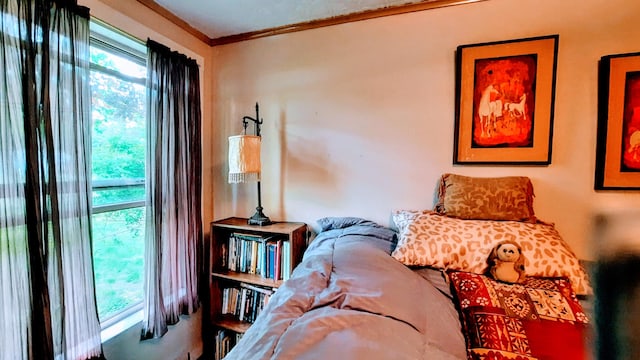 8424 3rd St, Onekama, MI 49675 - bedroom with ornamental molding
