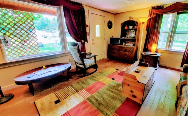 8424 3rd St, Onekama, MI 49675 - living room featuring wood finished floors