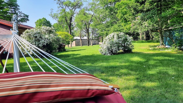 8424 3rd St, Onekama, MI 49675 - view of green lawn