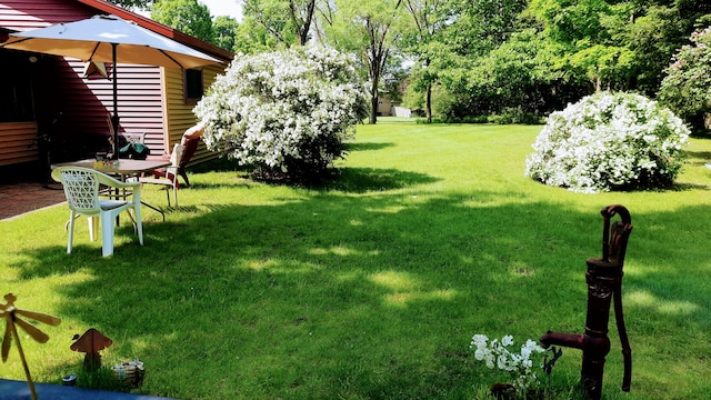 8424 3rd St, Onekama, MI 49675 - view of green lawn