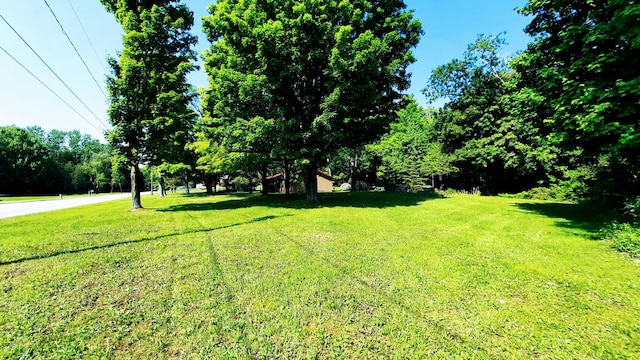 8424 3rd St, Onekama, MI 49675 - view of grassy yard