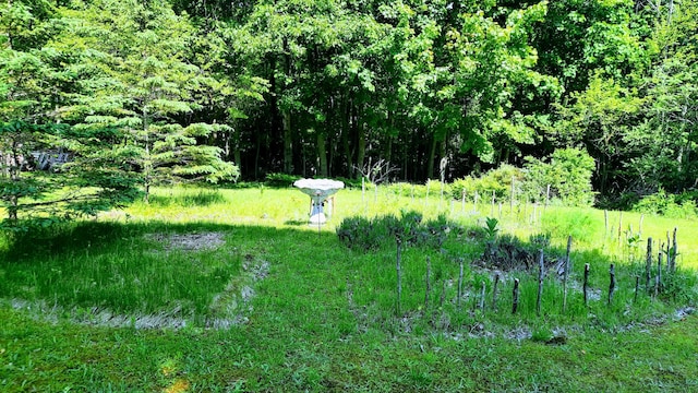 8424 3rd St, Onekama, MI 49675 - view of yard