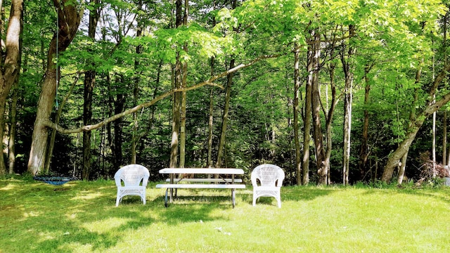 8424 3rd St, Onekama, MI 49675 - view of green lawn