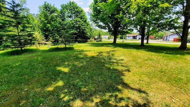 8424 3rd St, Onekama, MI 49675 - view of green lawn