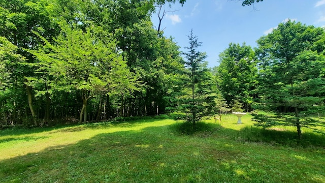 8424 3rd St, Onekama, MI 49675 - view of green lawn