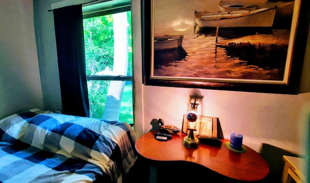 8424 3rd St, Onekama, MI 49675 - view of bedroom